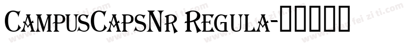 CampusCapsNr Regula字体转换
